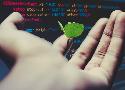 4 idées reçues sur l’éco-conception de sites Web • conseil et création de site Web • Angle Web